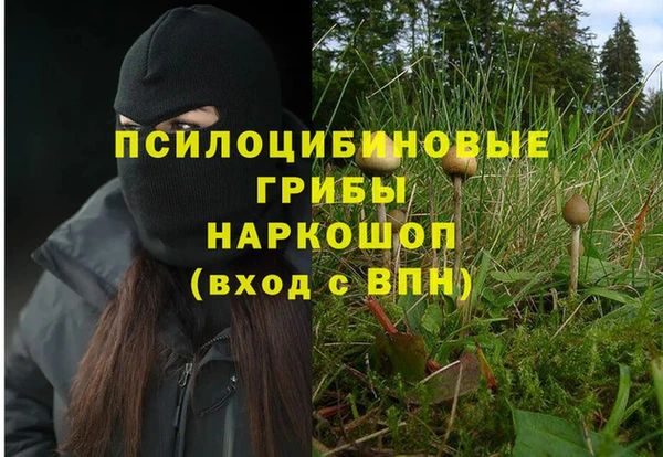 сатива Волоколамск
