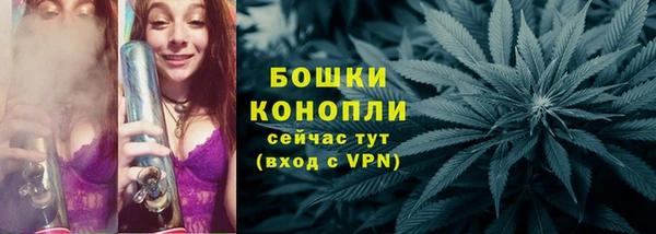 сатива Волоколамск